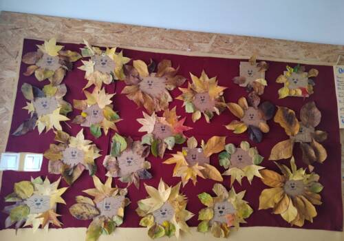 Šetnja i skupljanje lišća 🍂