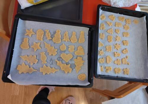 Božićni kolačići 🍪🎄